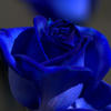 Jackie Blue