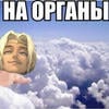Ядерный чайный гриб