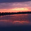 My_Purple_Sunset
