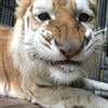 Fallen ghost