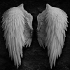 Not_Angel_
