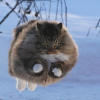 Твой воздух.