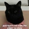 Весланка