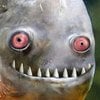Fluffy_Lamprey