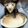 Котик в сметанке