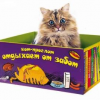 Котенок в коробочке