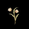 aelilis