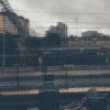 Asmo_Rash