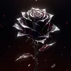 RosesInAshes