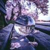 Chrome Vanadium