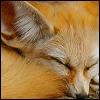 Sneakyfox