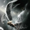 Demon vs Angel