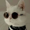 Клитарин