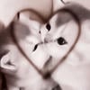 _Hannah_Hwang_