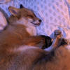 Satans Helper