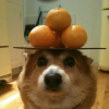 юный и пригожий