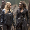 Clexa3535