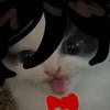 Meoshigi
