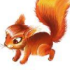 Littlesquirrel