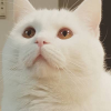 luluweirdo