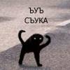 обеспокоенная шавуха
