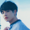 choi chan