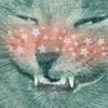 Котя Яойщица