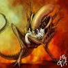 Alien or not Alien