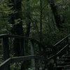 Travkanull