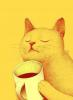 LazyCat
