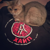 Гриша Первый