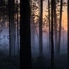 История-в-одну-ночь