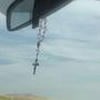 libellula