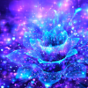 Miss StarFlower