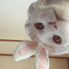 Каратэ-Котэ