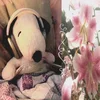 lutik_guka