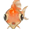 ihihishka