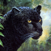 Black Leopard
