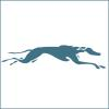 Greyhound
