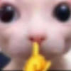 acidgutz
