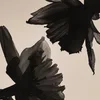 Coolbat