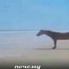 Стул в тазике