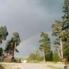 Konyaka_igogo