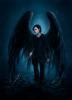 pansy_boy