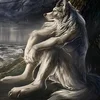 FoxMy