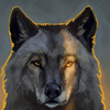 Maksim Wolf