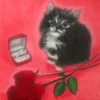 фиолетовая дыня