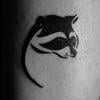 Raccoon__
