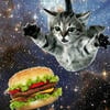 McDonald__s228