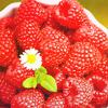 cloud.berry